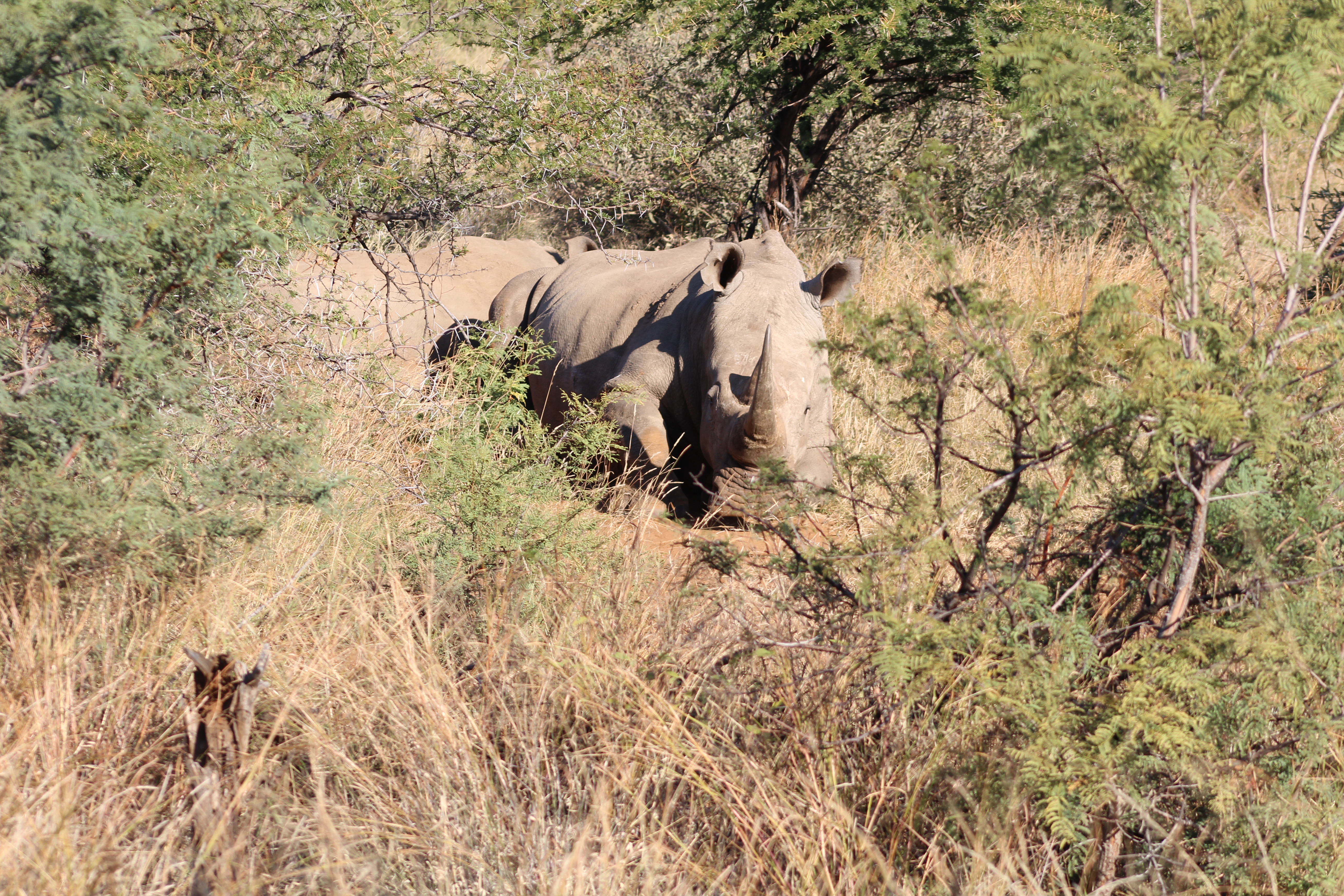 Community and Conservation Impact